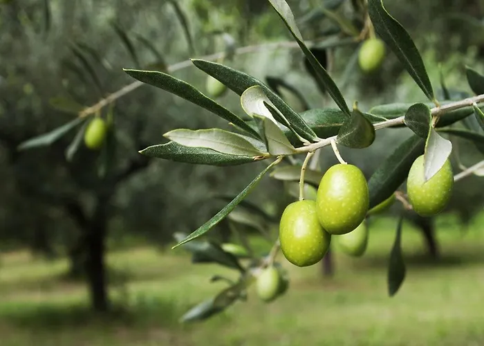 Hébergement de vacances Casa Vista Mare Con Wifi, Ac Nelle 4 Da Letto E Parcheggio Privato *